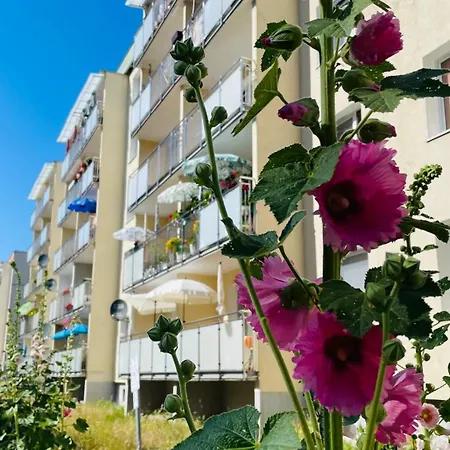 Zatoka Spokoju Apartament *