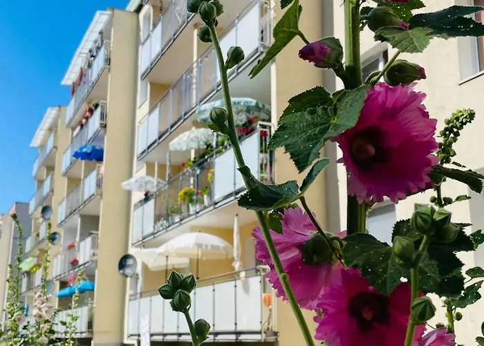 Zatoka Spokoju アパート *